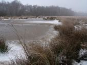 Alter Torfstich im Emsdettener Venn-L. Klasing