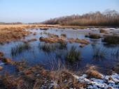 Alter Torfstich im Emsdettener Venn-L. Klasing