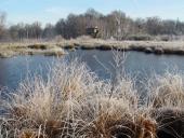 Alter Torfstich im Emsdettener Venn-L. Klasing