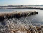 Alter Torfstich im Emsdettener Venn-L. Klasing