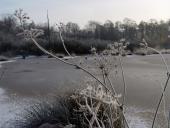 Alter Torfstich im Emsdettener Venn-L. Klasing
