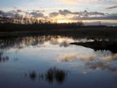 Alter Torfstich im Emsdettener Venn-L. Klasing