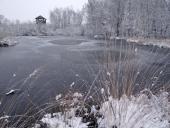 Alter Torfstich im Emsdettener Venn-L. Klasing