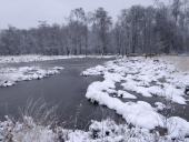 Alter Torfstich im Emsdettener Venn-L. Klasing