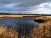 Alter Torfstich im Emsdettener Venn-L. Klasing