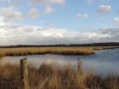 Alter Torfstich im Emsdettener Venn-L. Klasing