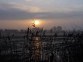 Feuchtwiese: Sonnenaufgang im Emsdettener Venn-L. Klasing