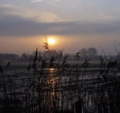 Feuchtwiese: Sonnenaufgang im Emsdettener Venn-L. Klasing