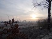 Feuchtwiese: Sonnenaufgang im Emsdettener Venn-L. Klasing