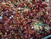 Torfmoos (Sphagnum magellanicum)-L. Klasing