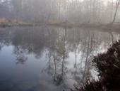 Alter Torfstich im Emsdettener Venn-L. Klasing