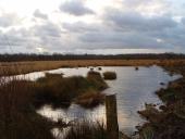 Alter Torfstich im Emsdettener Venn-L. Klasing