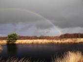 Alter Torfstich im Emsdettener Venn-L. Klasing