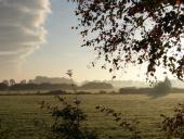 Feuchtwiese: Am Morgen-L. Klasing
