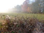 Feuchtwiese: Im Herbst-L. Klasing