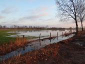 Feuchtwiese: Im Herbst-L. Klasing