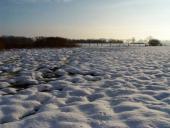 Feuchtwiese: Blänke im Winter-L. Klasing