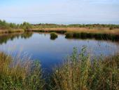Alter Torfstich im Emsdettener Venn-L. Klasing
