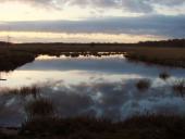 Alter Torfstich im Emsdettener Venn-L. Klasing