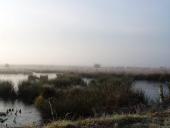 Alter Torfstich im Emsdettener Venn-L. Klasing