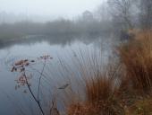 Alter Torfstich im Emsdettener Venn-L. Klasing