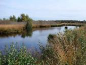 Alter Torfstich im Emsdettener Venn-L. Klasing