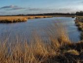 Alter Torfstich im Emsdettener Venn-L. Klasing