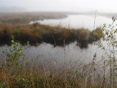 Alter Torfstich im Emsdettener Venn-L. Klasing