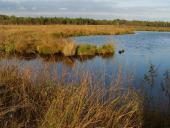 Alter Torfstich im Emsdettener Venn-L. Klasing