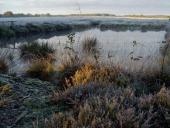 Alter Torfstich im Emsdettener Venn-L. Klasing