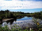 Alter Torfstich im Emsdettener Venn-L. Klasing