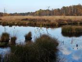 Alter Torfstich im Emsdettener Venn-L. Klasing