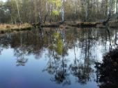 Alter Torfstich im Emsdettener Venn-L. Klasing