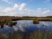 Alter Torfstich im Emsdettener Venn-L. Klasing