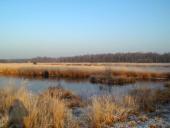 Alter Torfstich im Emsdettener Venn-L. Klasing