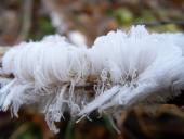 Haareis-Eiswolle-L. Klasing