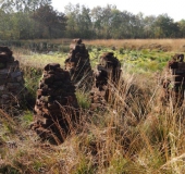 012-Die-Torfdiemen-sind-wieder-aufgebaut.16.10.2017-L.-Klasing-2