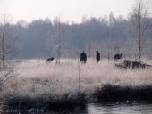 001-Der-Einsatz-kann-beginnen-L.-Klasing-69