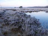 002-Raureif-aber-schönes-sonniges-Wetter-L.-Klasing-