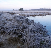 002-Raureif-aber-schönes-sonniges-Wetter-L.-Klasing-