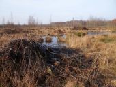 003-Alles-muss-abgeräumt-werden-L.-Klasing-