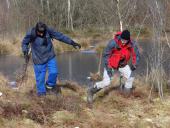 010-Venn-02.03.2018-L.-Klasing