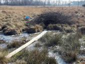 012-Venn-02.03.2018-F.-Müller