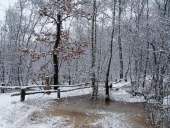 001 Silvester im Venn 31.12.2009 L. Klasing