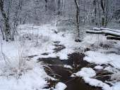 002 Silvester im Venn 31.12.2009 L. Klasing