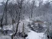 003 Silvester im Venn 31.12.2009 L. Klasing