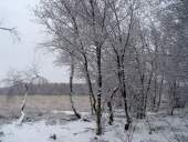 004 Silvester im Venn 31.12.2009 L. Klasing