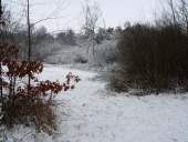 005 Neujahr im Venn 01.01.2010 L. Klasing