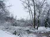 006 Neujahr im Venn 01.01.2010 L. Klasing