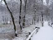 007 Neujahr im Venn 01.01.2010 L. Klasing